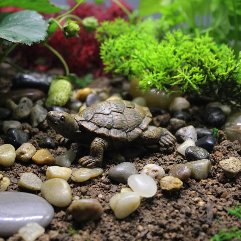 Realistic little turtle resin ornament for micro landscape and garden decoration