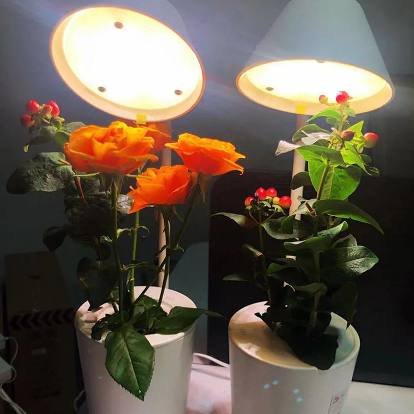 White plastic desktop hydroponic growing system for soilless plant cultivation