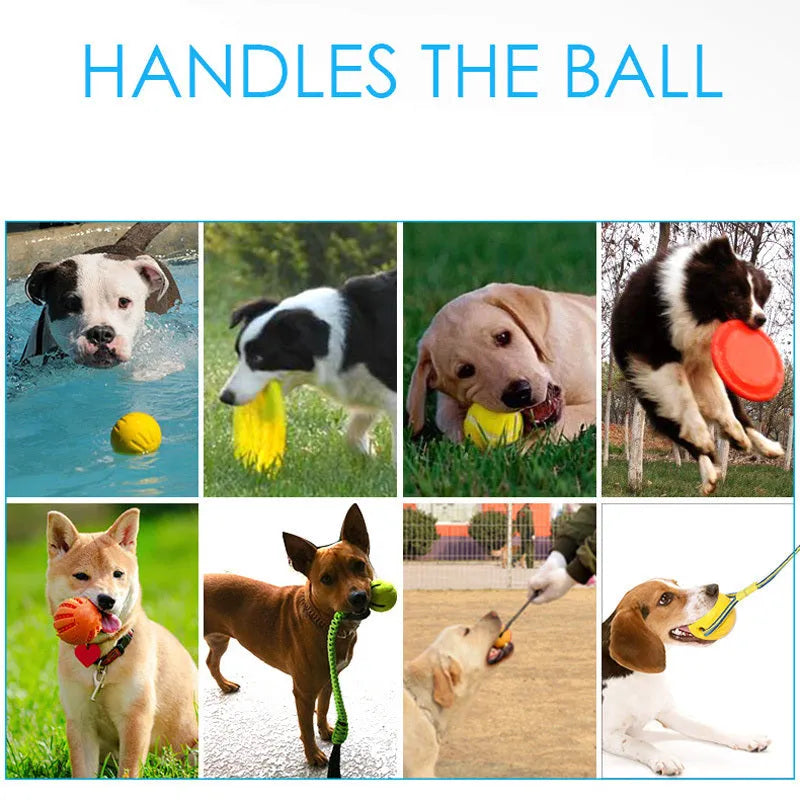EVA interactive pet ball dog toy rubber frisbee pull ring for outdoor dog training exercise 22cm 28cm