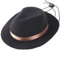 Handmade wool felt mini pet hat for small dogs and cats in S size with 155cm diameter