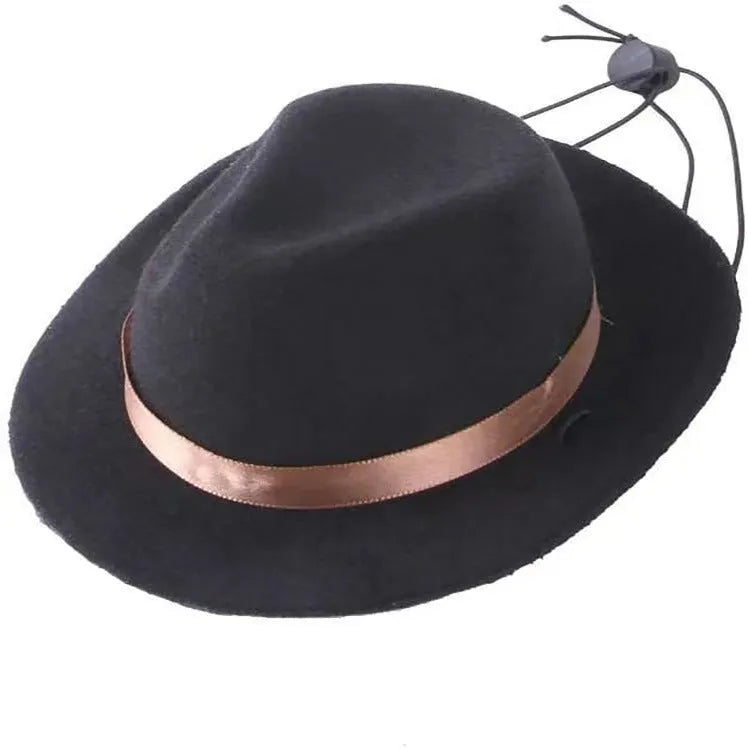 Handmade wool felt mini pet hat for small dogs and cats in S size with 155cm diameter