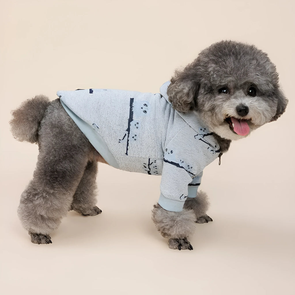 Blue dog sweater with front zipper closure showing casual pet coat design