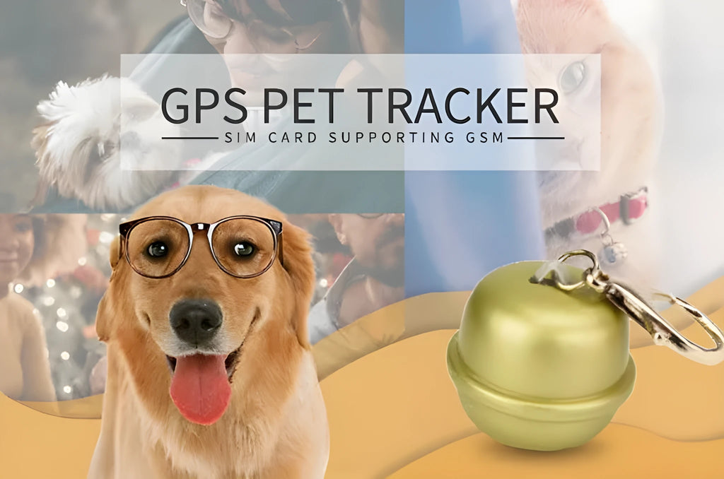 A black GPS dog collar unit attached to an adjustable nylon strap, shown on a smartphone displaying a tracking map.