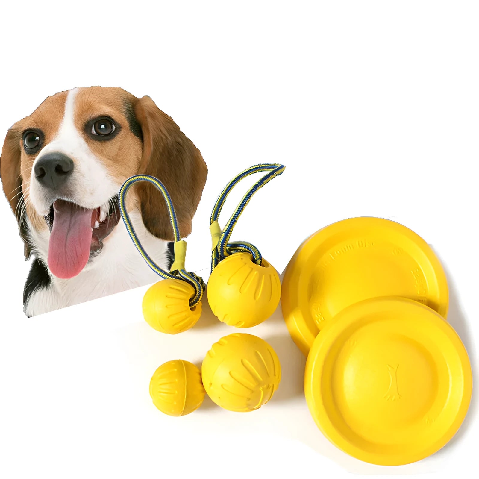 EVA interactive pet ball dog toy rubber frisbee pull ring for outdoor dog training exercise 22cm 28cm