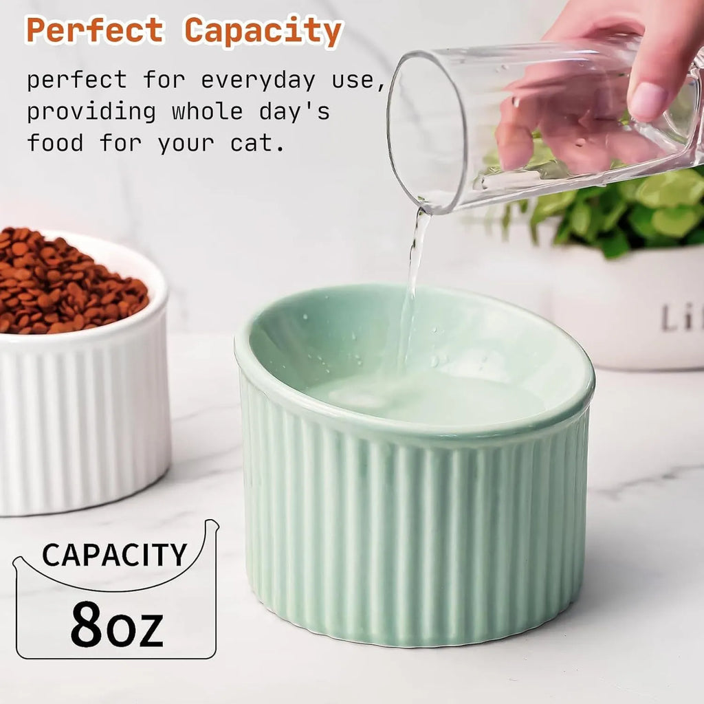 Ceramic elevated cat bowl in round tilted design with raised height for indoor cats