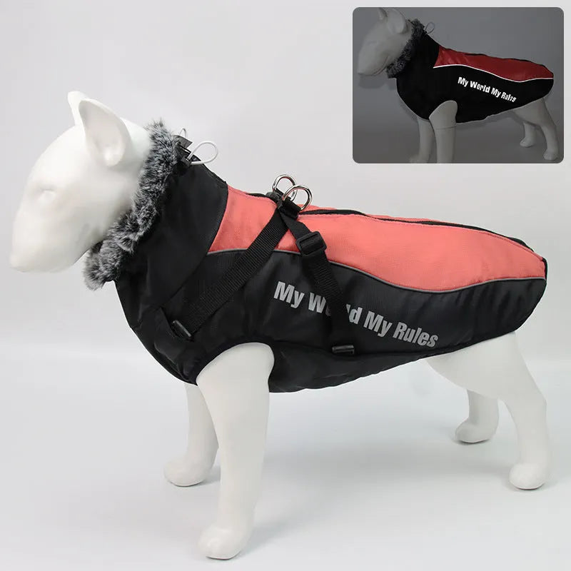 Winter warm pet jacket in Glare Blue on a dog, cotton fill, with adjustable fit