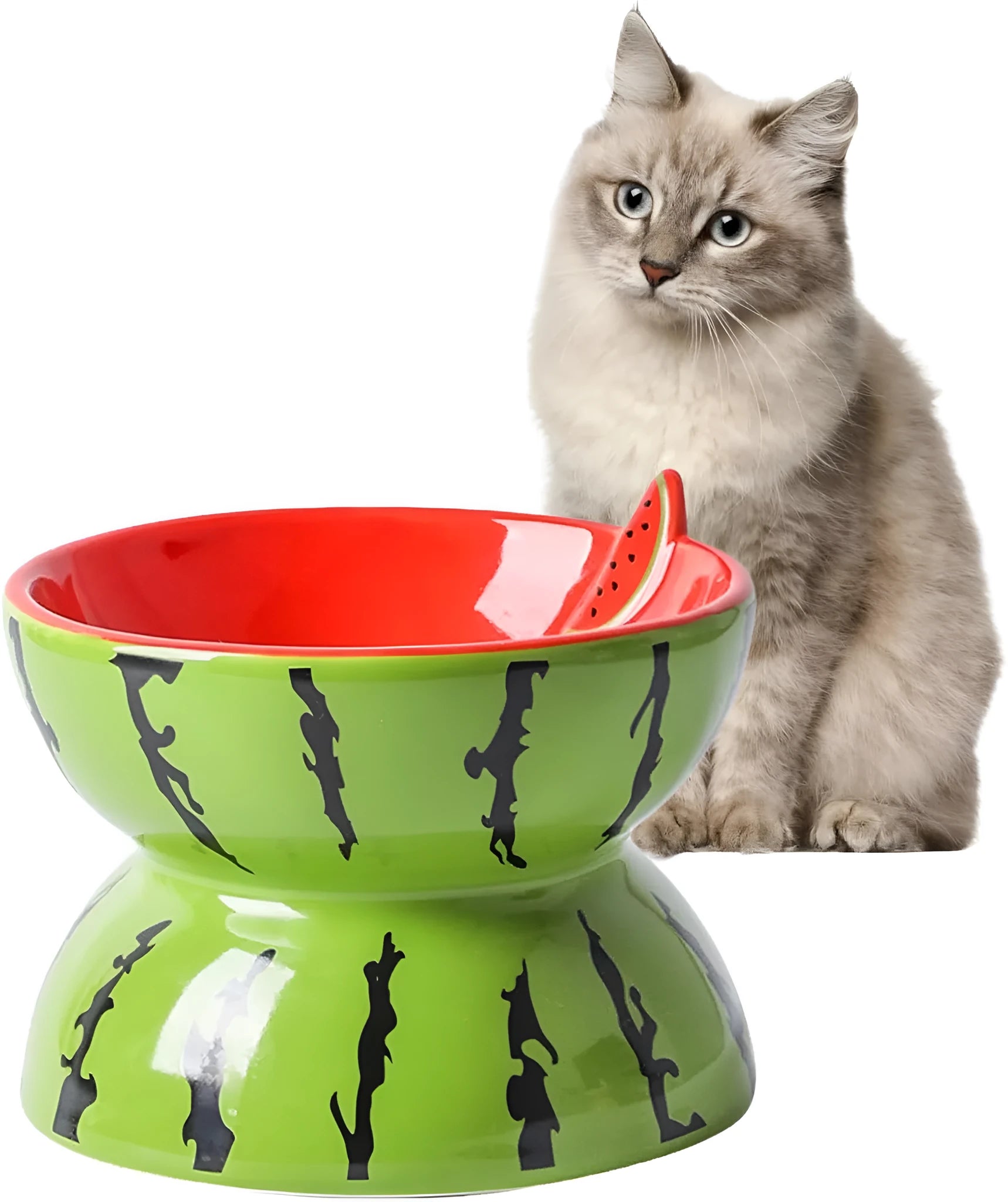 Ceramic raised cat bowl with tilted design in orange, pitaya or watermelon pattern.