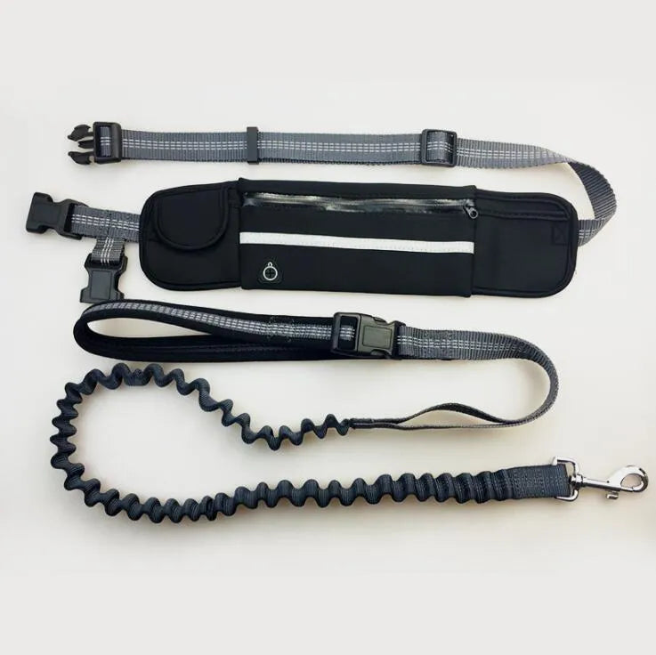 Hands-free dog running leash with black waist belt and reflective nylon bungee leash