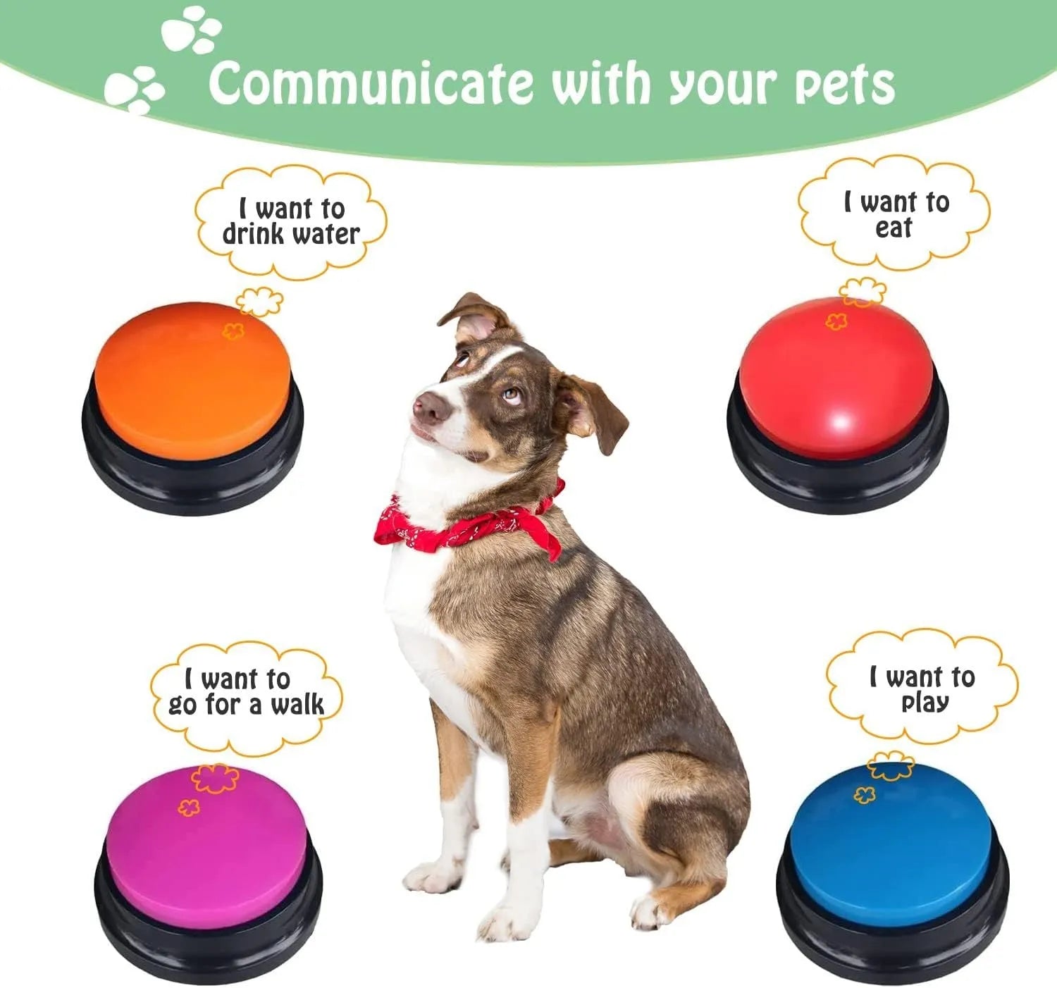 Voice recording pet training button in blue, green, orange, purple, or red with record and playback buttons