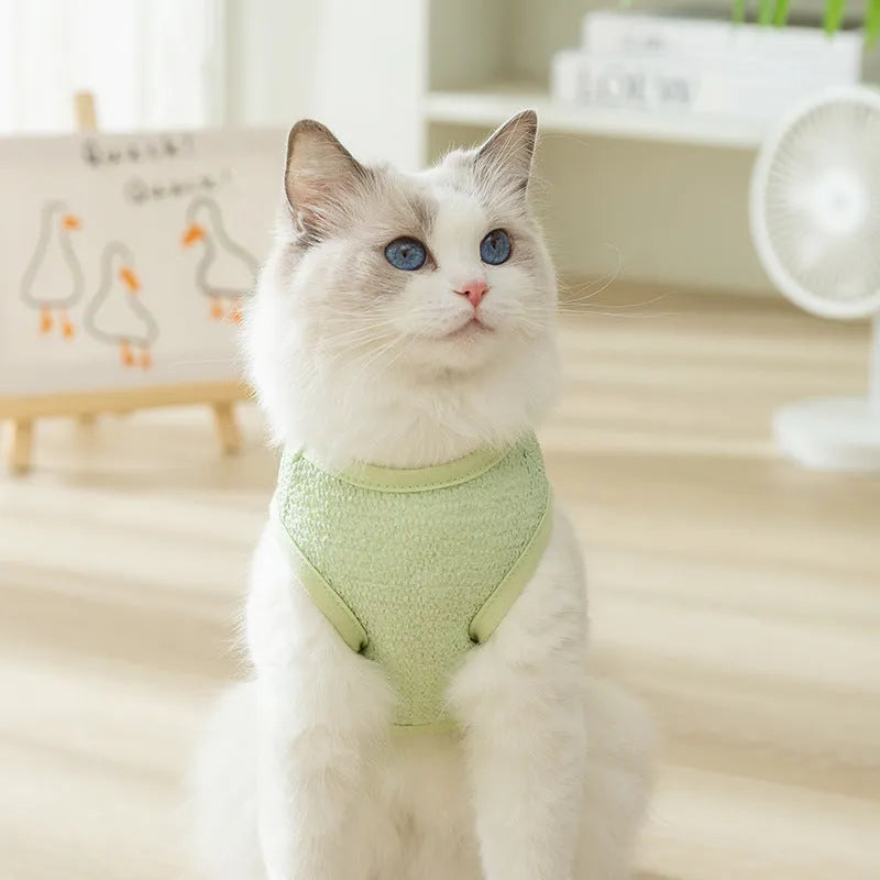 Green hollowed-out cat clothes with cartoon bear patch on knitted fabric