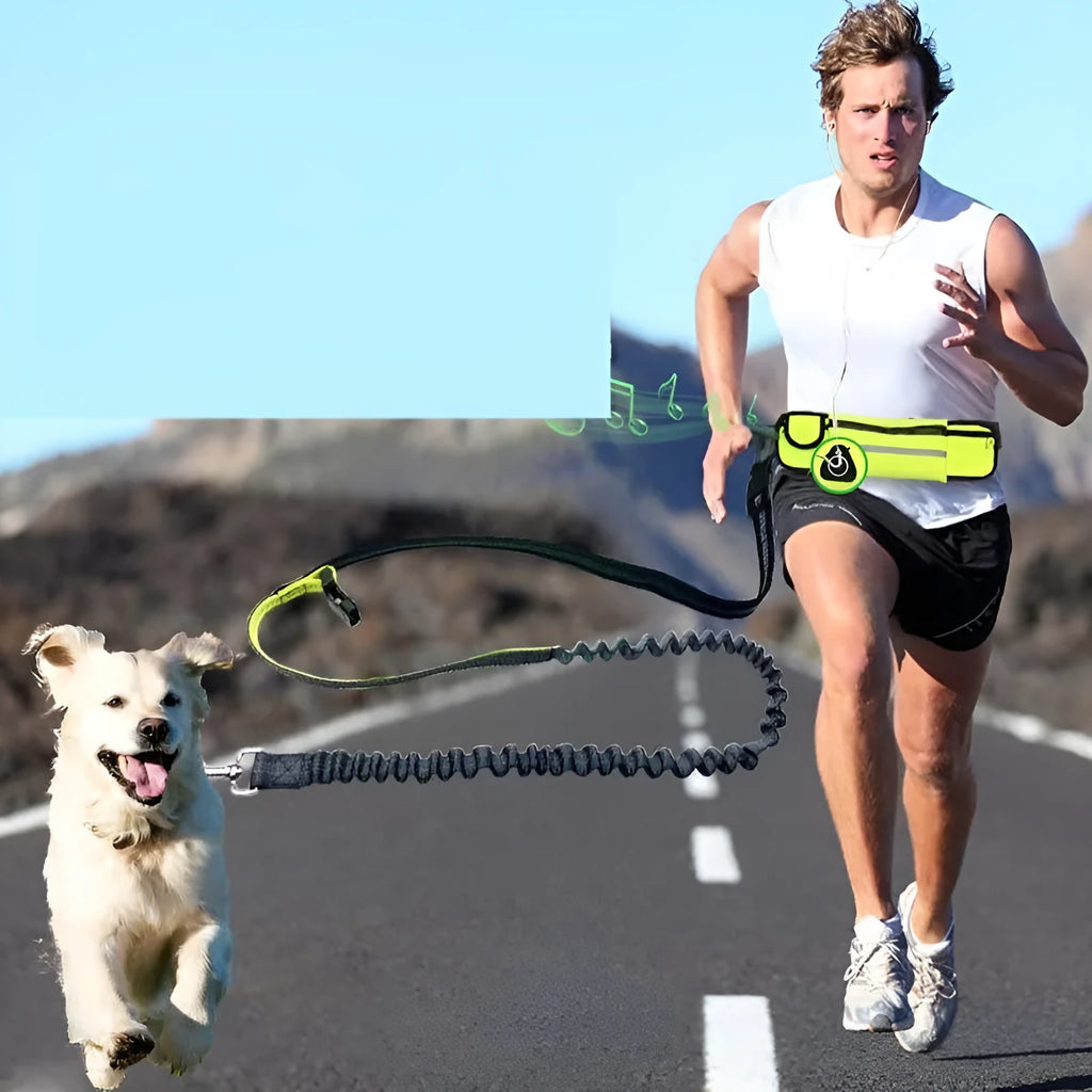 Hands-free dog running leash with black waist belt and reflective nylon bungee leash