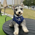 Blue pet hoodie with reflective grey-white lettering, slim-fitting design for cats and dogs