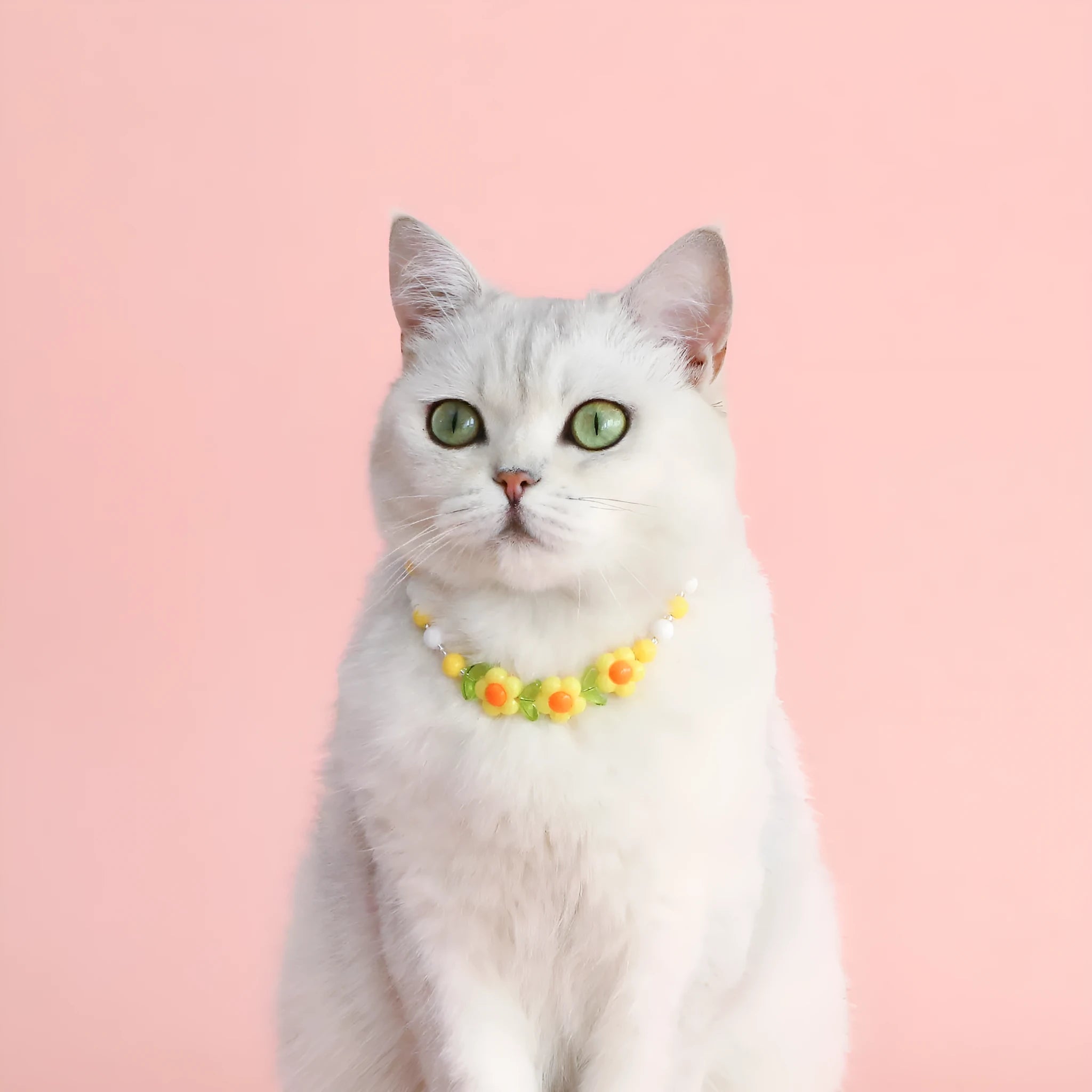 Colourful plastic bead cat necklace in small flower, rainbow, or peach design on adjustable cord.