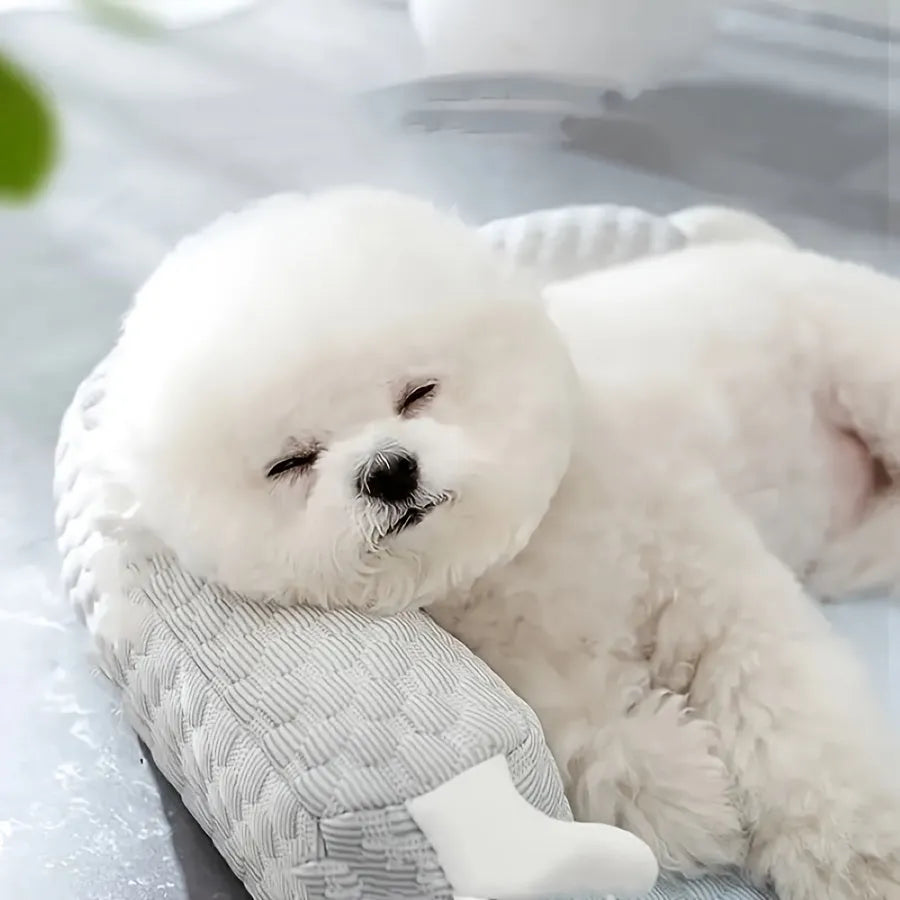 Blue big-eyed monster design pet bed cushion showing non-slip base and raised sofa style construction