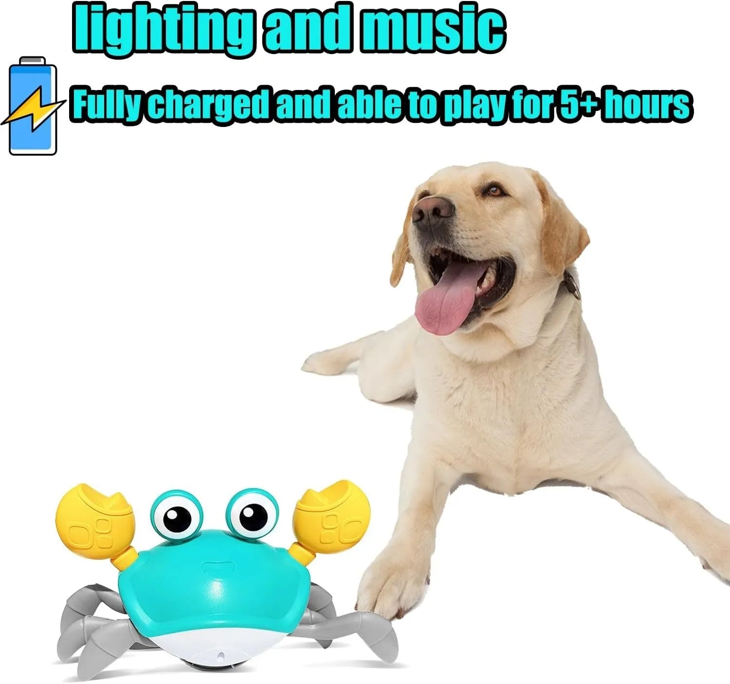 Blue automatic crab dog toy with obstacle avoidance sensor on a flat surface.