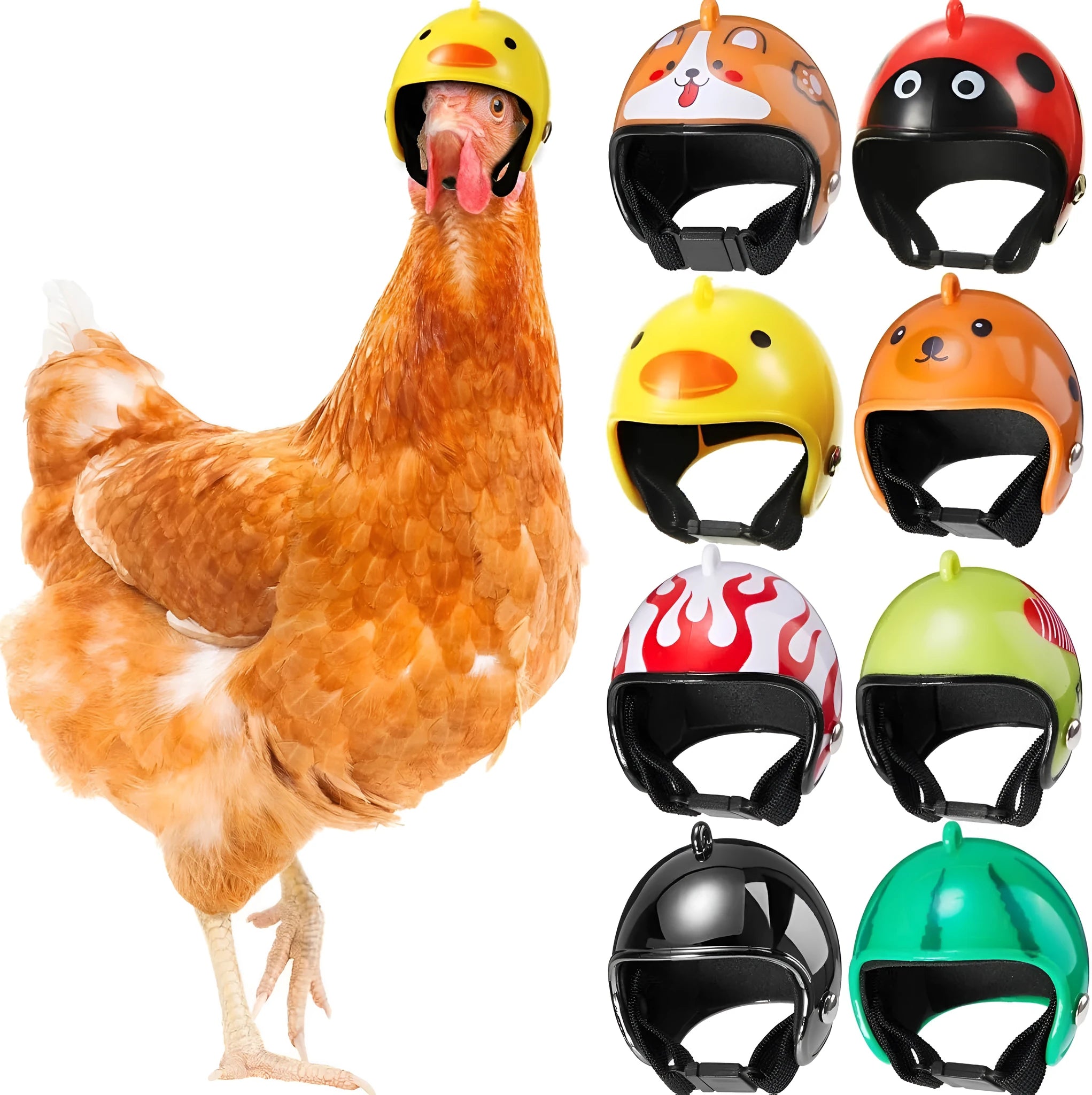 Small adjustable plastic safety helmet for a chicken or bird, shown in a fun design.