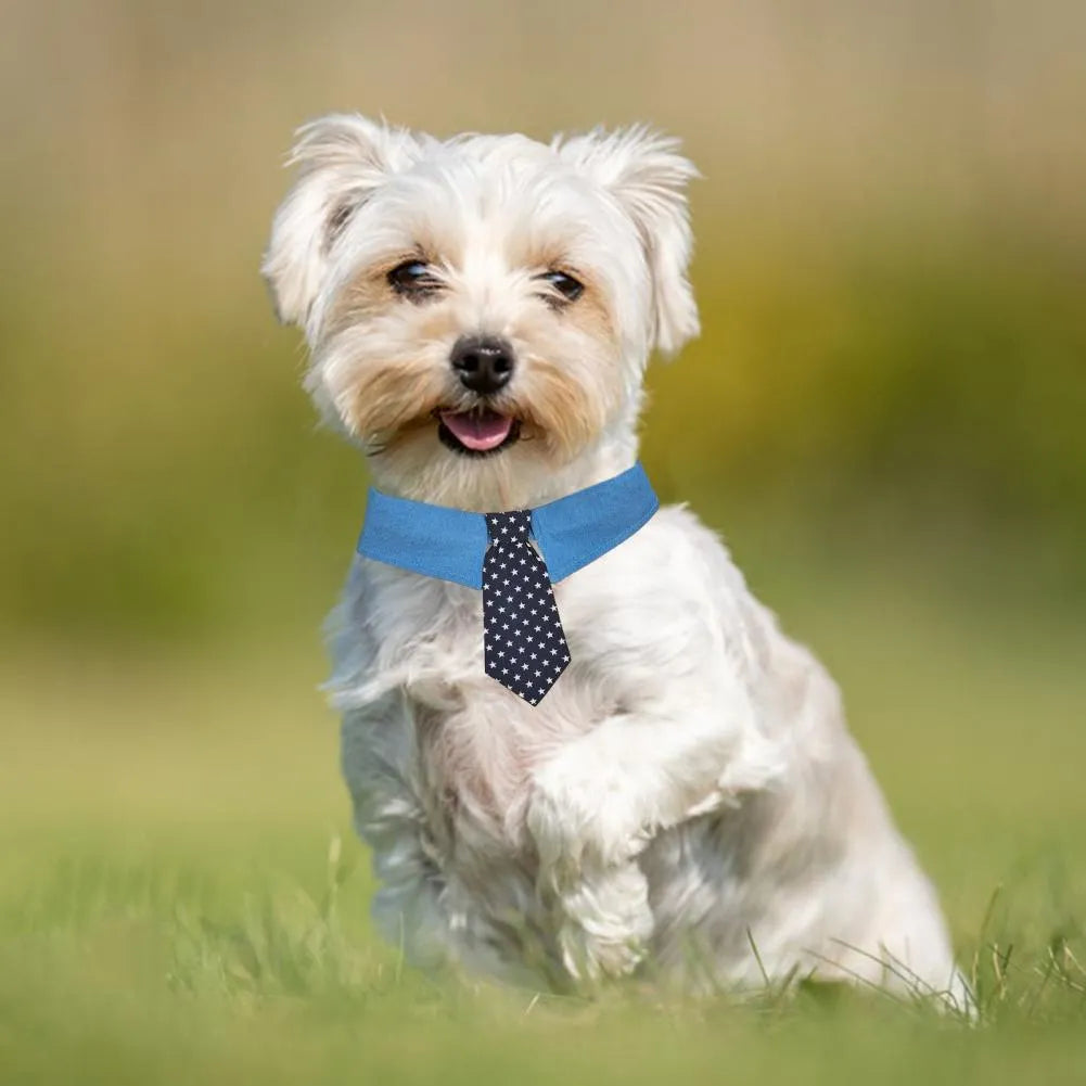 Blue denim dog collar with a star-pattern bow tie, shown with a fastener tape closure.