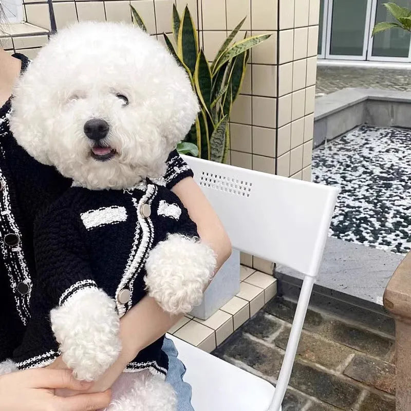 Korean style pearl collar dog sweater in black and white colours showing Princess design for small dogs