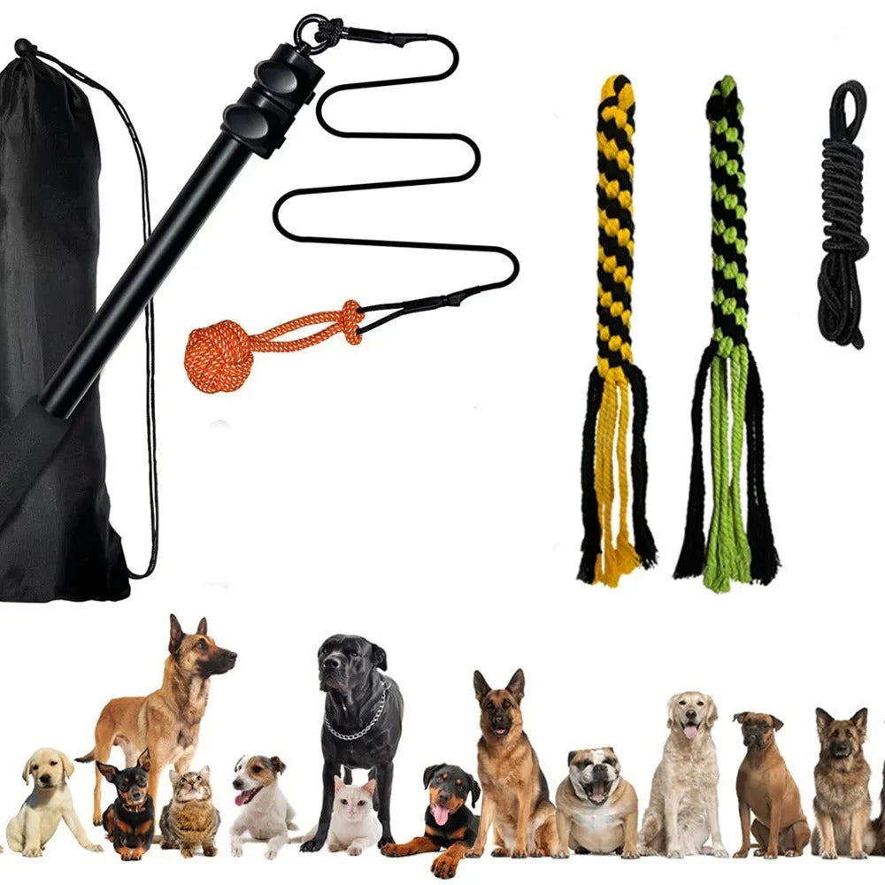 Telescopic aluminium alloy dog teasing stick, black small size, isolated on white background
