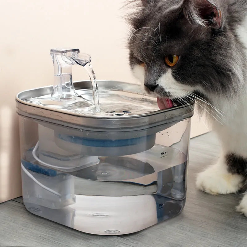 304 stainless steel automatic pet water fountain with 2L capacity and transparent base for multiple pets