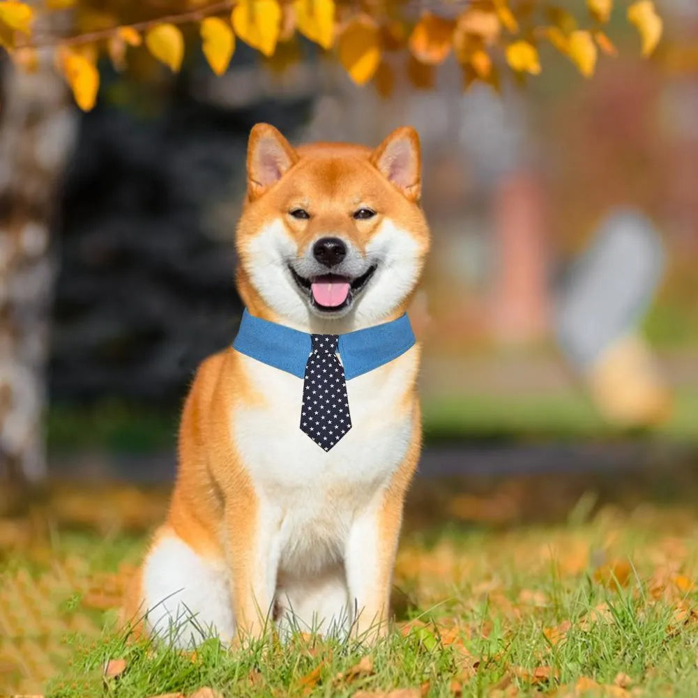 Blue denim dog collar with a star-pattern bow tie, shown with a fastener tape closure.