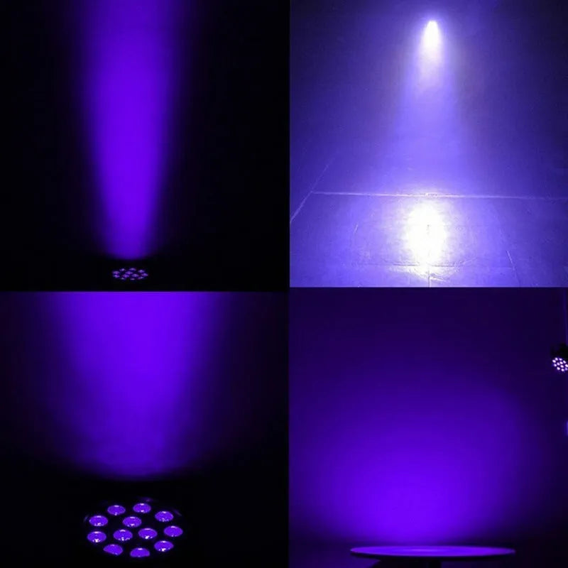 Ultraviolet UV par light with 12 LEDs for indoor stage lighting, black housing