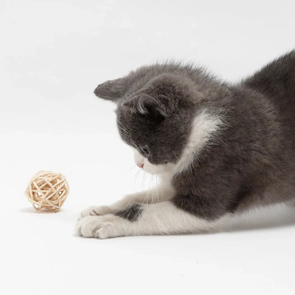 Natural rattan ball and colourful faux feather bell ball cat toy set