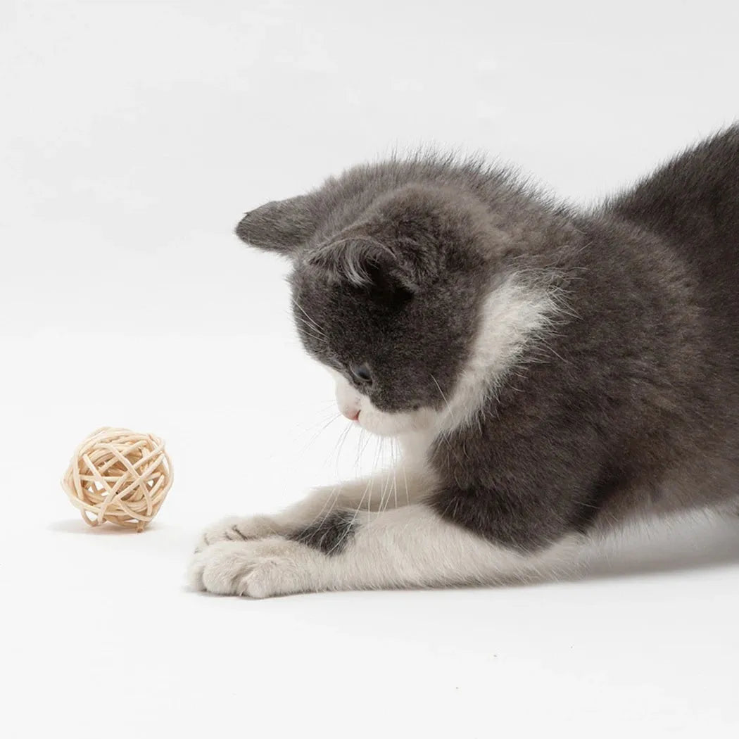Natural rattan ball and colourful faux feather bell ball cat toy set