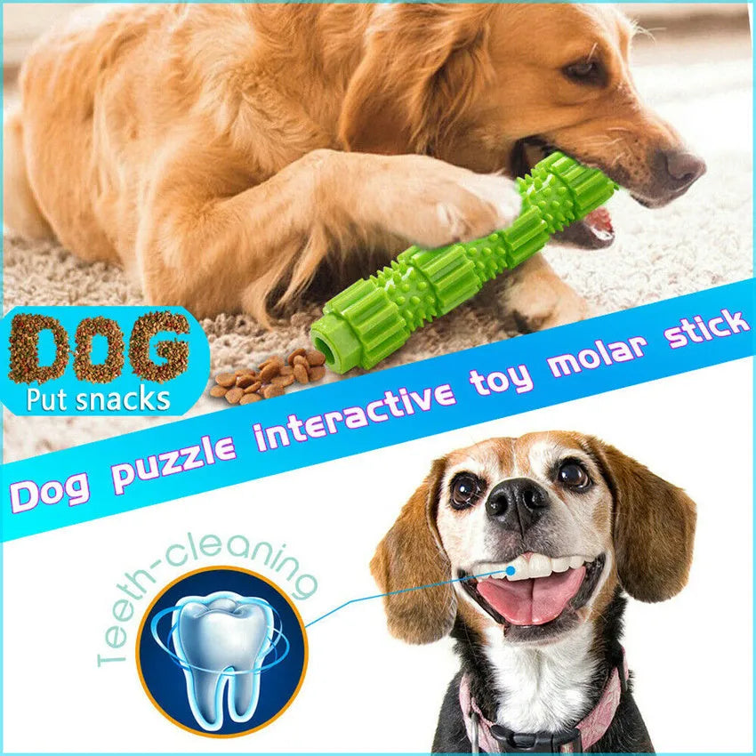 Green and orange durable rubber dog chew toy with squeaker and treat-dispensing hole.