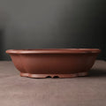 Handmade rectangular purple clay bonsai pot in classical Chinese plain style.