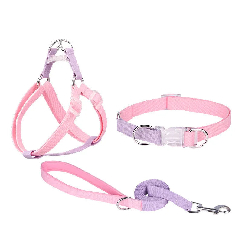 Polyester ribbon dog collar set showing collar, chest strap and traction rope in matching colours