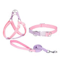 Polyester ribbon dog collar set showing collar, chest strap and traction rope in matching colours