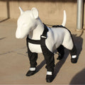 Set of four black waterproof dog shoes with non-slip soles for paw protection.