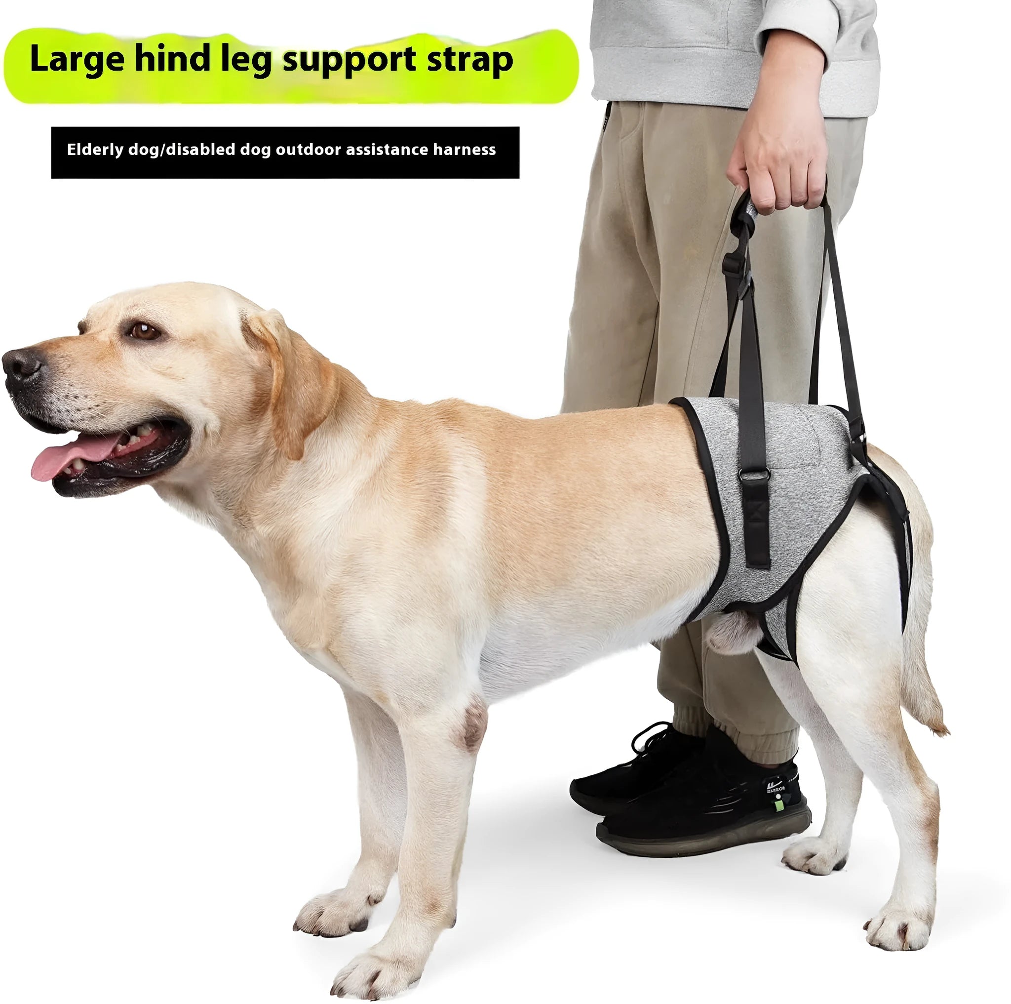 Adjustable neoprene dog rear leg recovery belt harness in grey colour