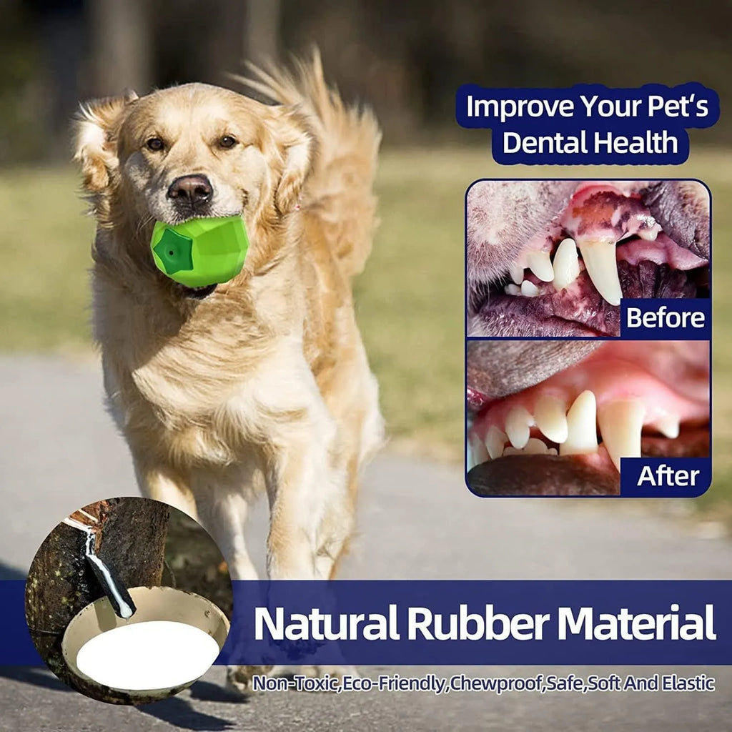 Green natural rubber dog squeaky toy ball for medium to large breed dogs