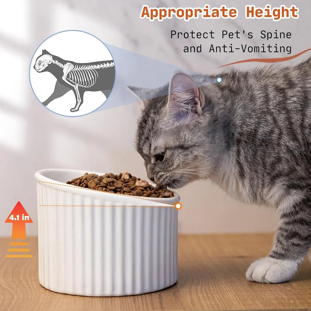 Ceramic elevated cat bowl in round tilted design with raised height for indoor cats