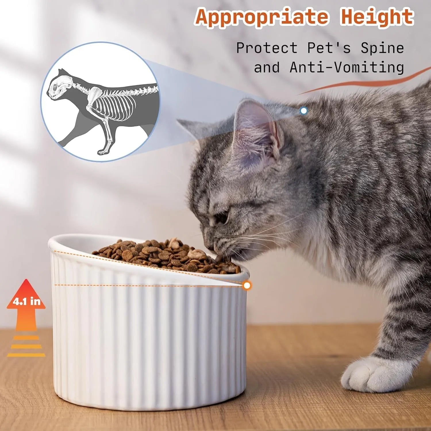 Ceramic elevated cat bowl in round tilted design with raised height for indoor cats