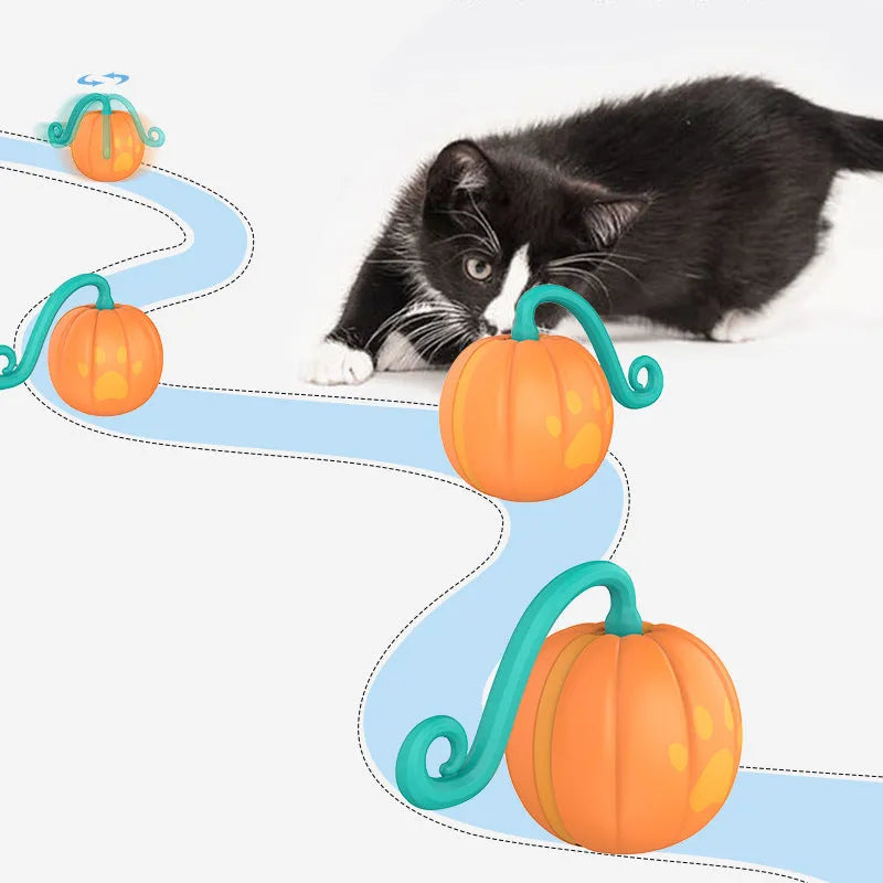 Electric cat toy ball with LED lights showing watermelon cat design and automatic bouncing movement