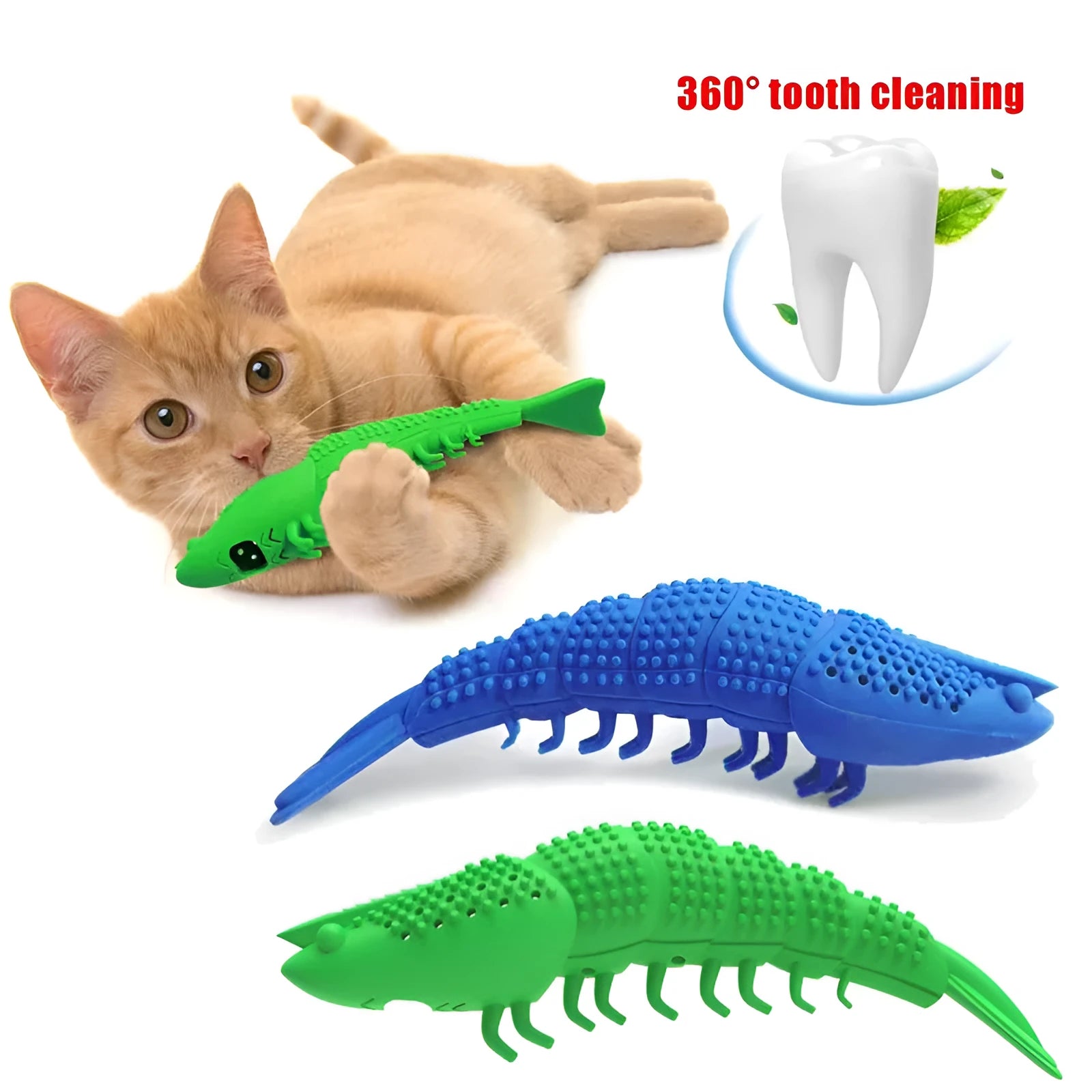 Blue hard rubber cat toy with textured brush surface for teeth cleaning, containing catnip and bell inside