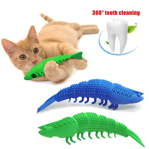 Blue hard rubber cat toy with textured brush surface for teeth cleaning, containing catnip and bell inside