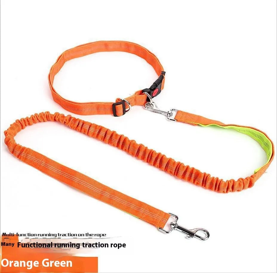 Reflective dog leash with elastic sling in two-tone colours for night walking