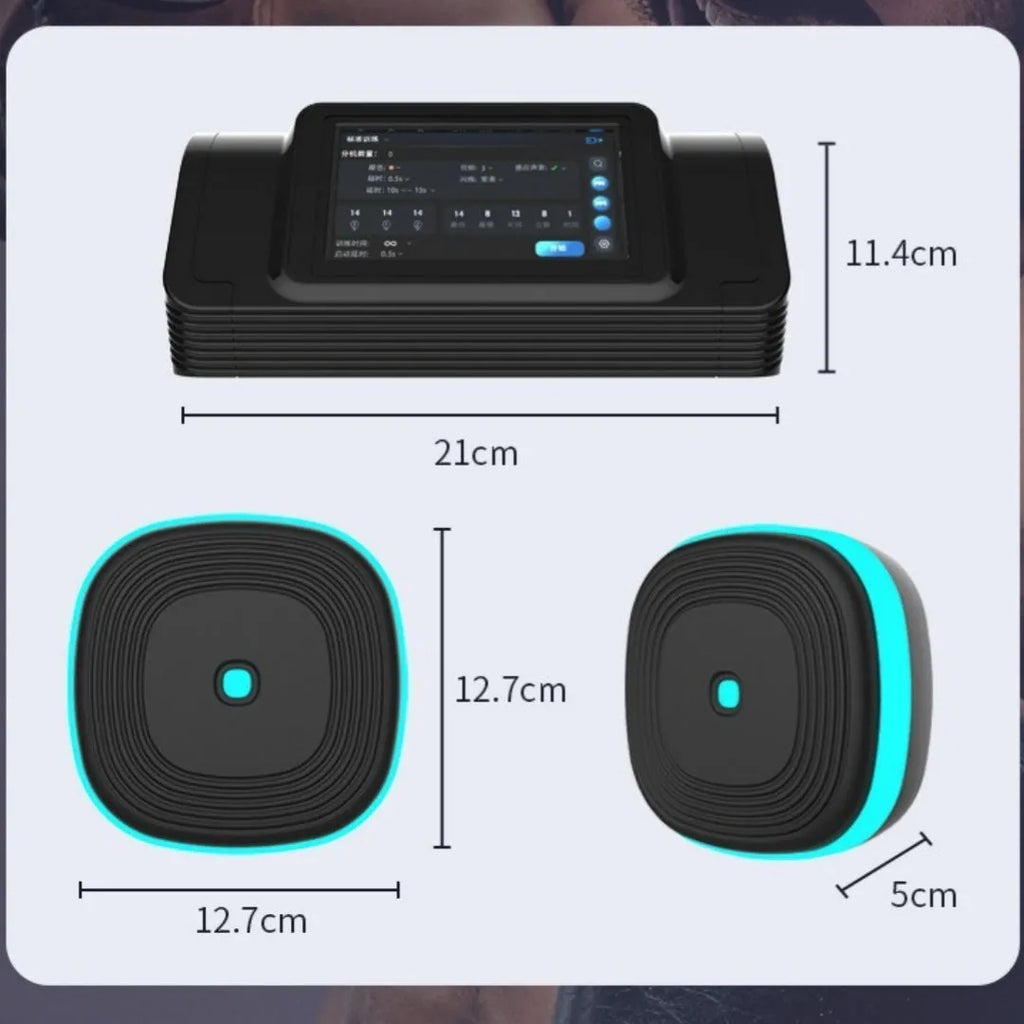 Home Smart Split Bluetooth Music Boxing Target in black with hanging design, 6 targets configuration shown