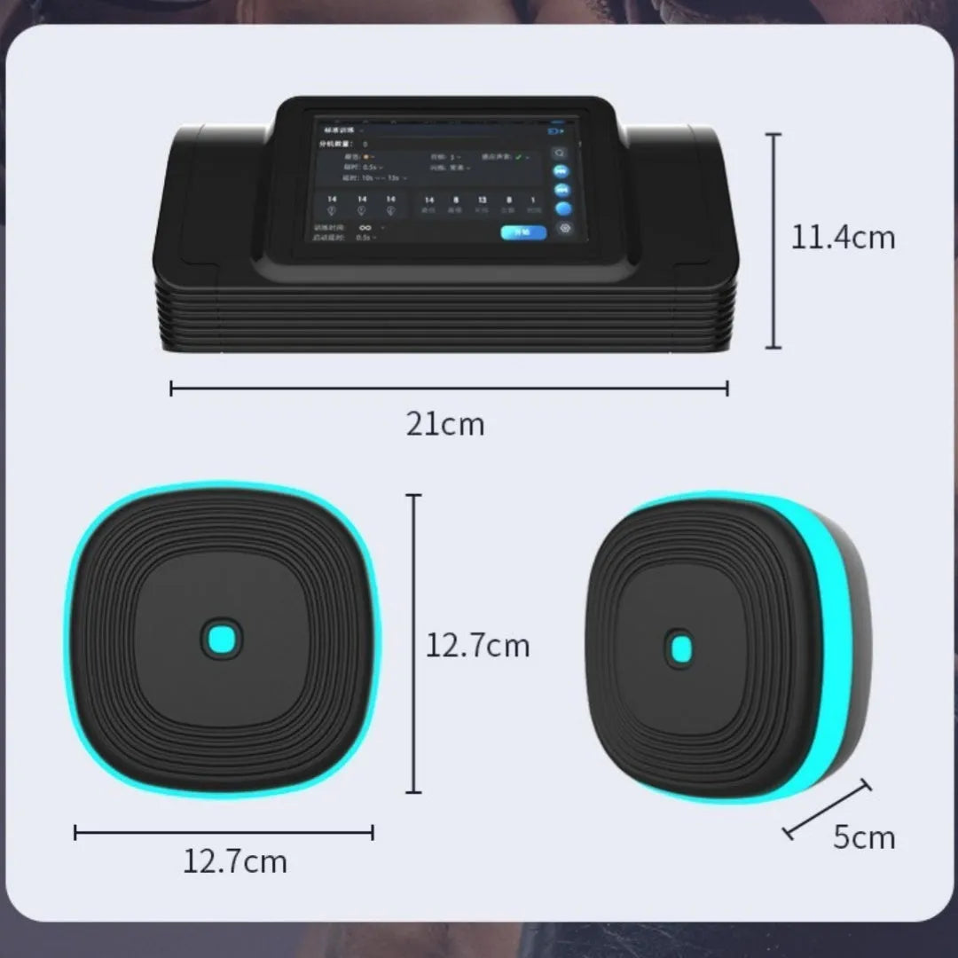 Home Smart Split Bluetooth Music Boxing Target in black with hanging design, 6 targets configuration shown