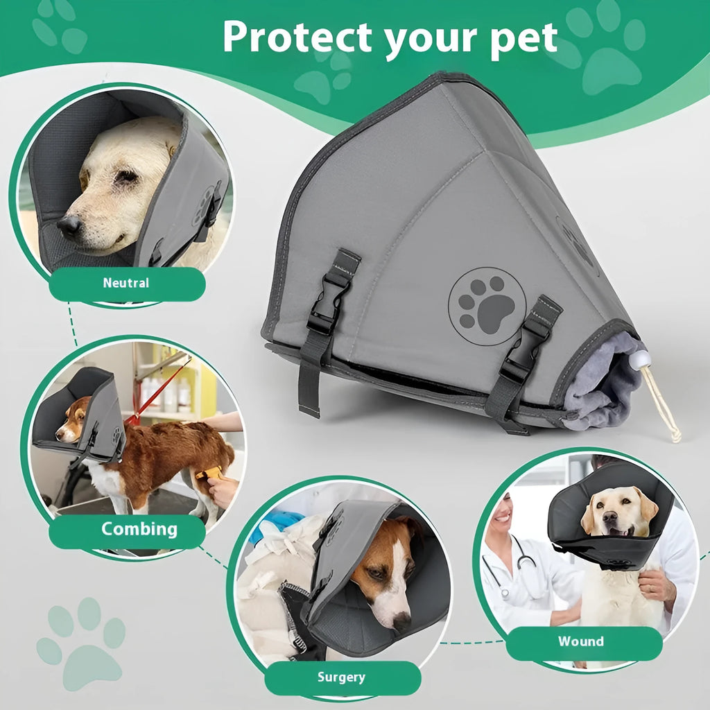 Adjustable polyester pet sterilization collar ring in a casual style, shown in size L.