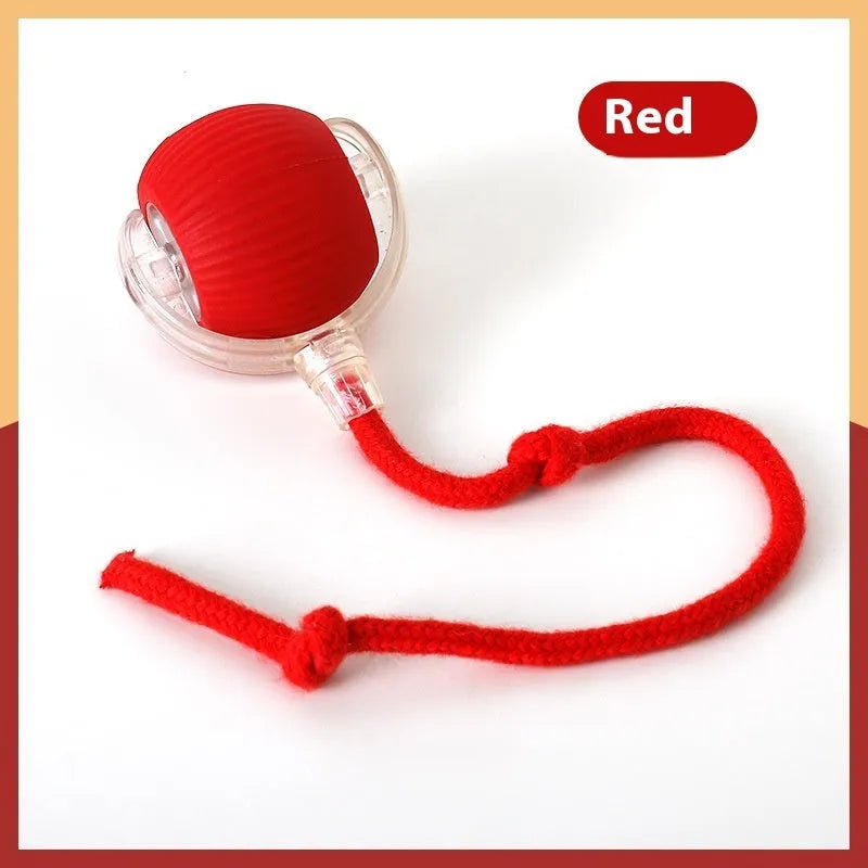 Interactive cat rolling ball toy in grey, green, and red colour options with automatic motion features