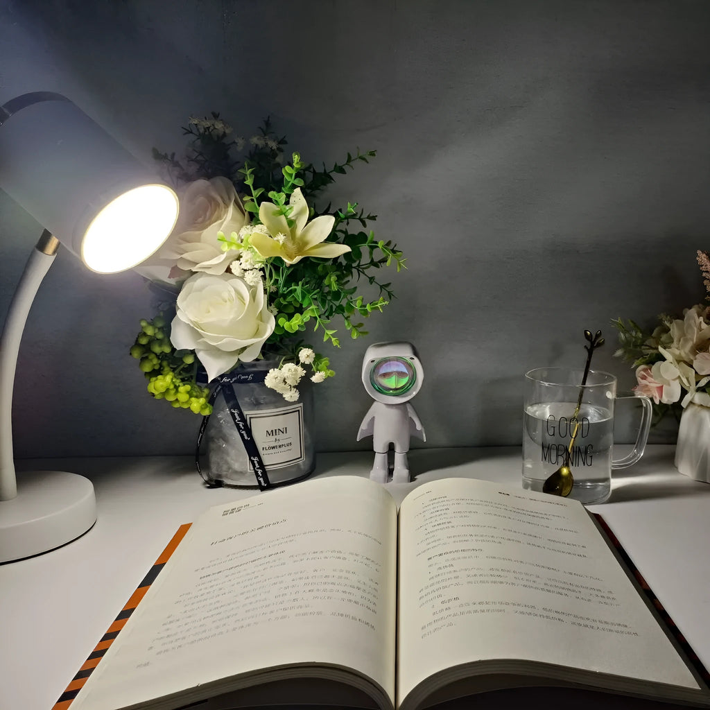 Photography live streaming double-headed lamp with metal holder and wire switch in black finish