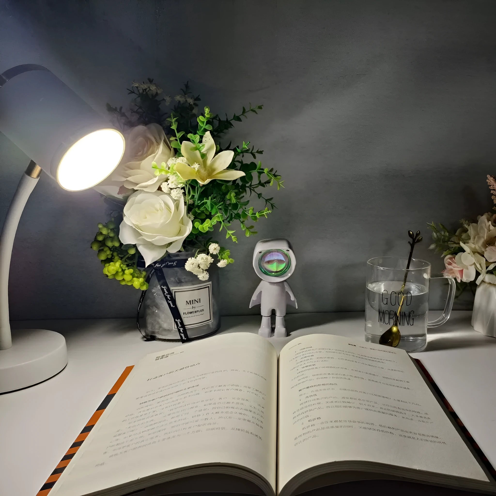 Photography live streaming double-headed lamp with metal holder and wire switch in black finish