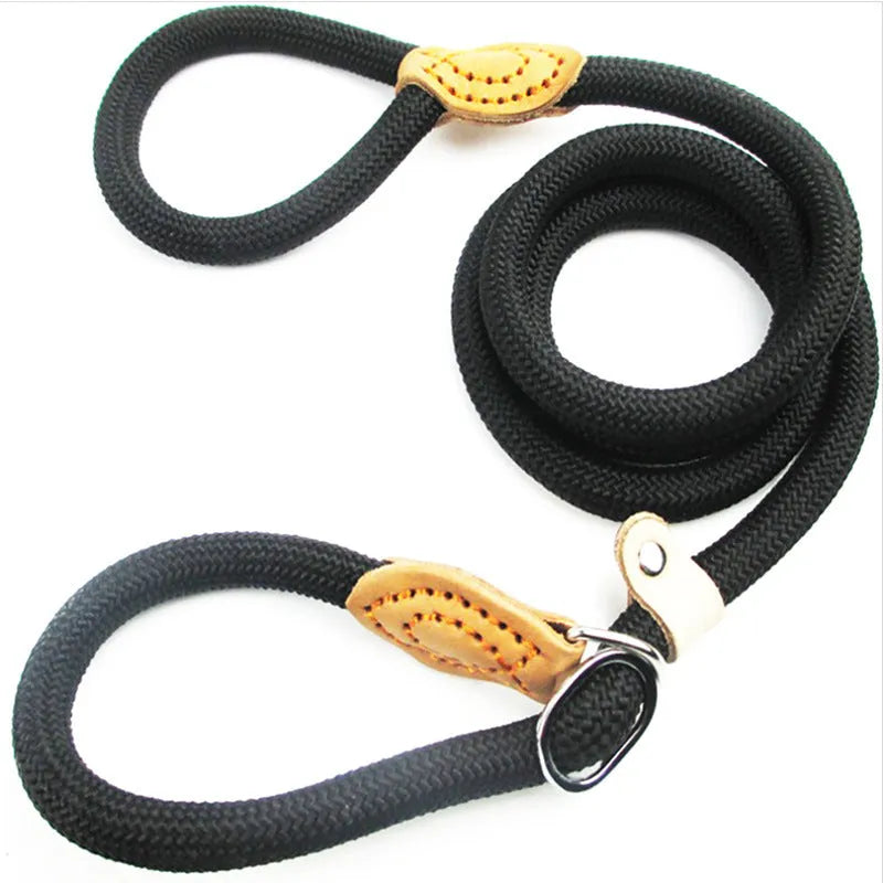 Brown nylon dog leash held in hand showing its 2.1 metre length and P chain handle.