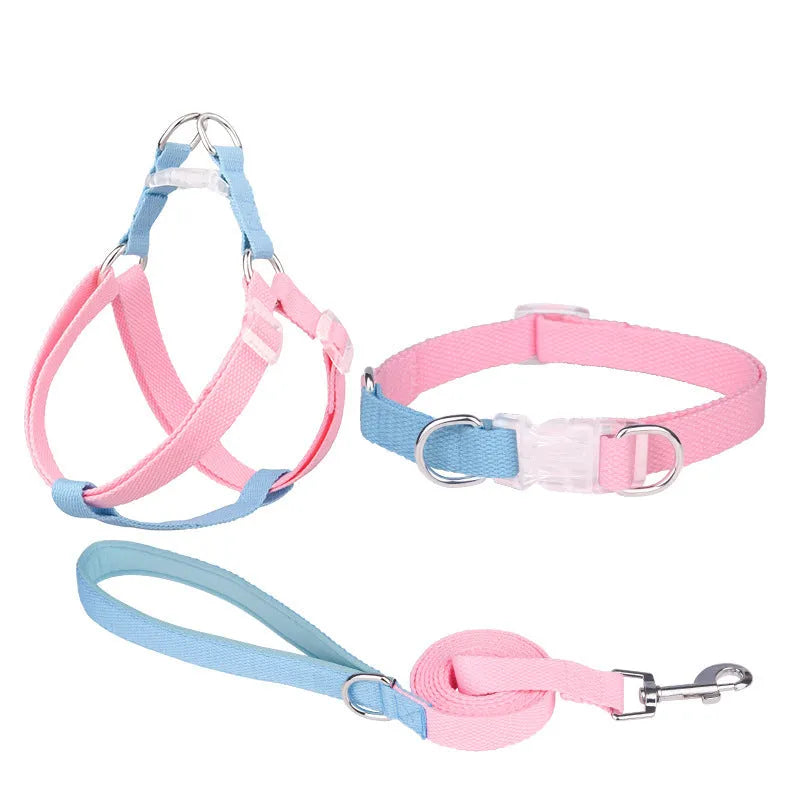 Polyester ribbon dog collar set showing collar, chest strap and traction rope in matching colours