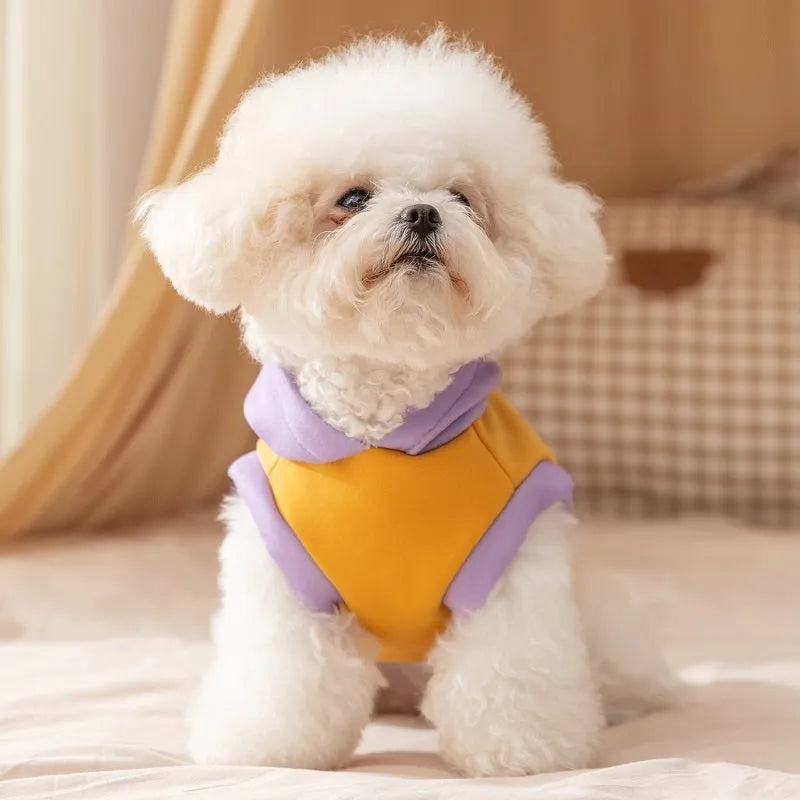 Autumn winter Korean dog hoodie with cute cartoon bear design for small medium pets, available in Blue and Yellow
